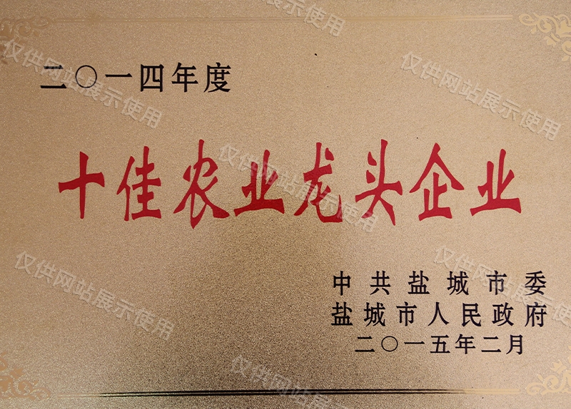 十佳農(nóng)業(yè)龍頭企業(yè)